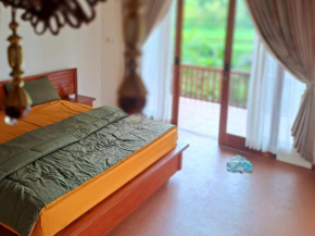 Nayya Bungalows